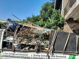 Best Shed Removal  in Solomons, MD