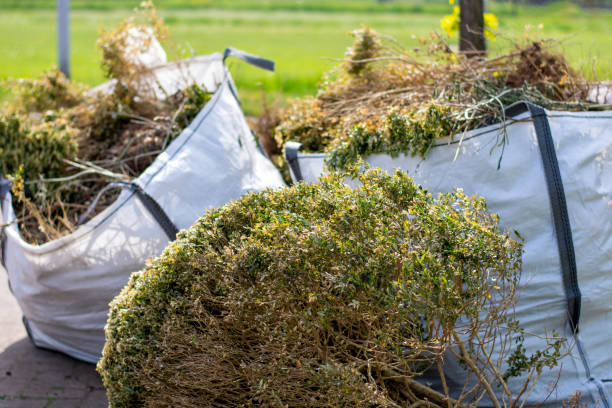 Best Hoarding Cleanup  in Solomons, MD